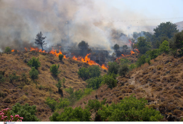 Φωτιά στην Χίο