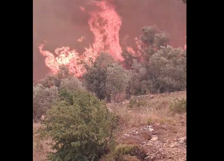 Φωτιά στη Χίο: «Στον Άγιο Γεώργιο δεν έχουμε βοήθεια, η πυρκαγιά φτάνει στο χωριό» λέει στο enikos.gr κάτοικος της περιοχής – ΒΙΝΤΕΟ