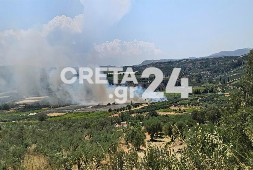 Ηράκλειο: Συναγερμός για φωτιά στις Αρχάνες – Μεγάλη κινητοποίηση της Πυροσβεστικής – ΒΙΝΤΕΟ