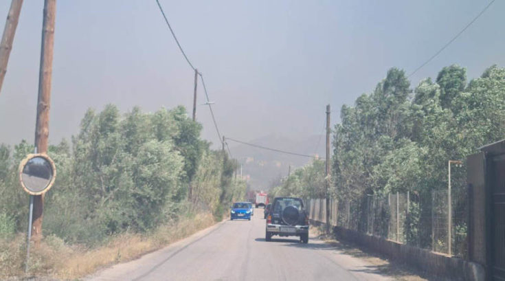 Φωτιά στην Ανάβυσσο