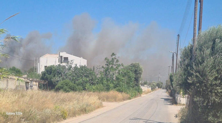 Φωτιά στην Ανάβυσσο