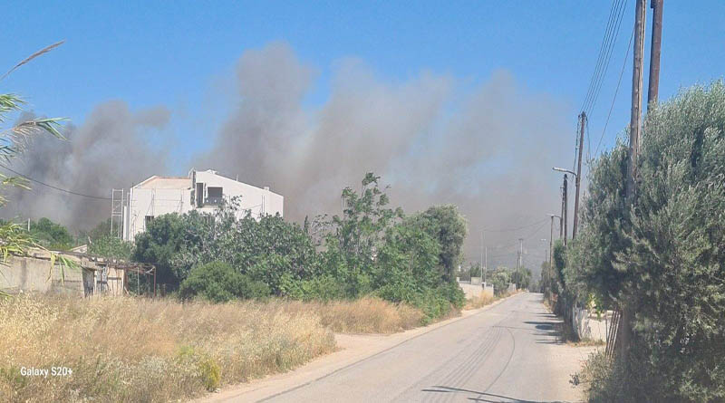 Φωτιά στην Ανάβυσσο