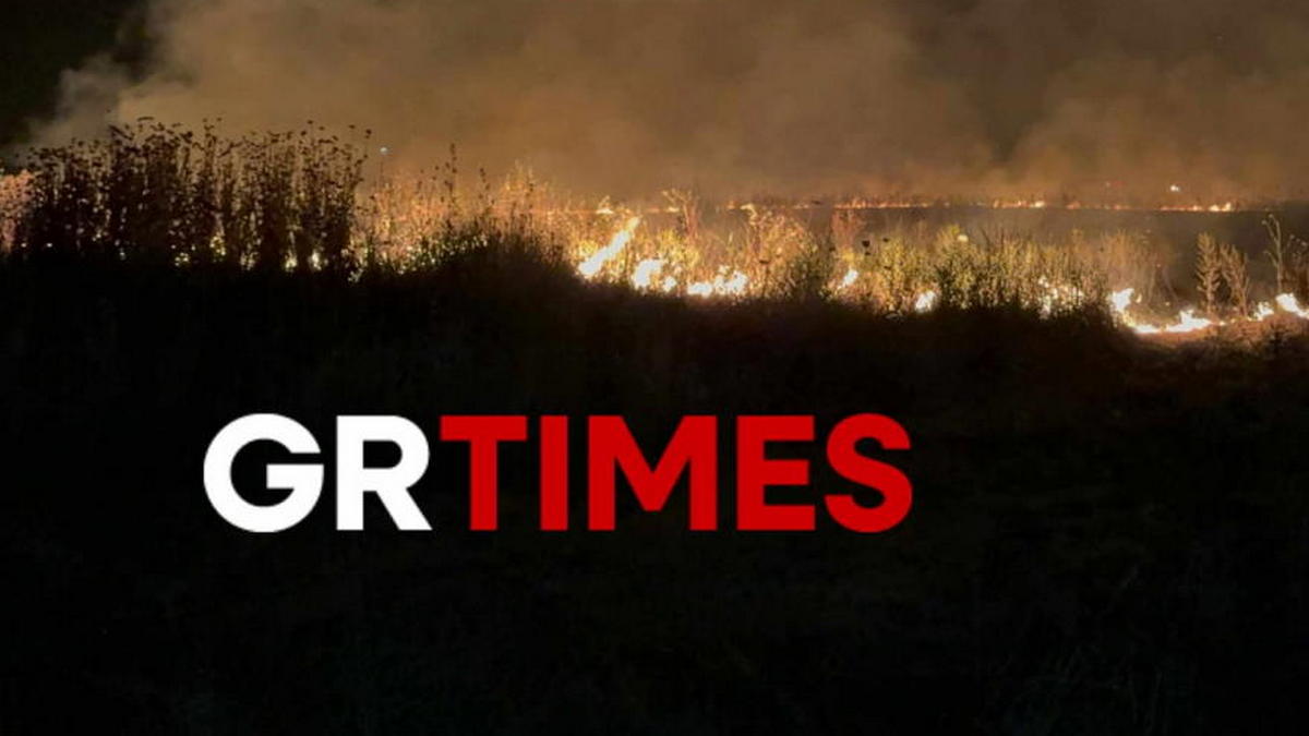 Θεσσαλονίκη: Φωτιά σε Λαγκάδα και Νέο Ρύσιο – Έχουν ελεγχθεί τα μέτωπα σε Λακκιά και Ωραιόκαστρο