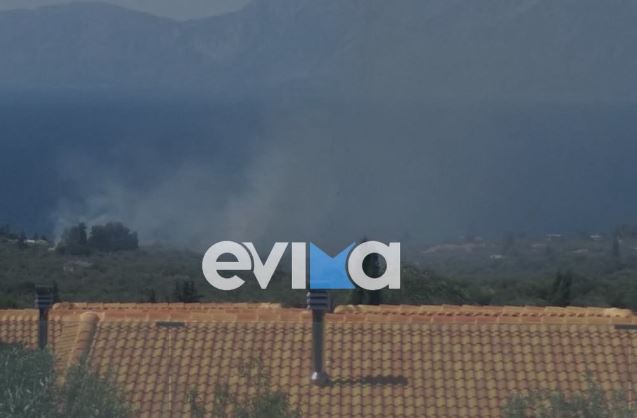 Εύβοια: Φωτιά σε χορτολιβαδική έκταση στην περιοχή Λουκίσια – Κινητοποίηση της Πυροσβεστικής – ΦΩΤΟ