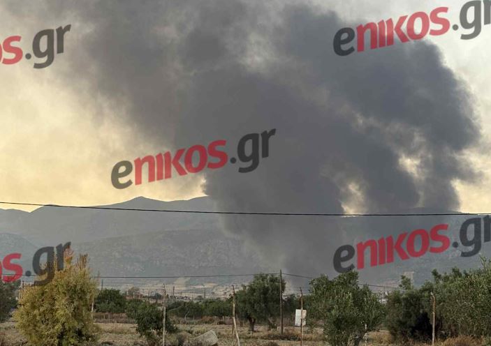 Φωτιά σε χώρο εργοστασίου στα Μέγαρα – Κινητοποίηση της Πυροσβεστικής