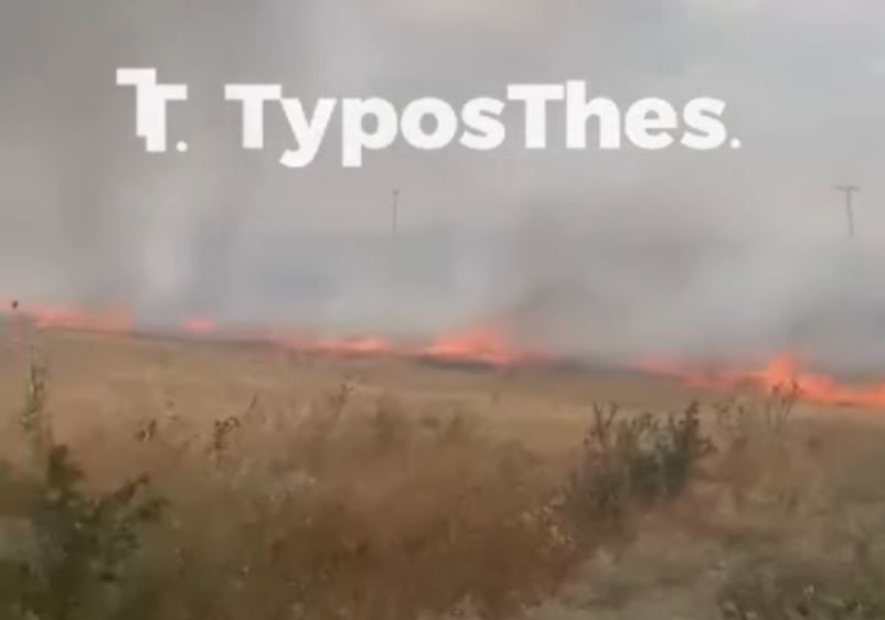 Φωτιά έξω από την Θεσσαλονίκη – Κινητοποίηση της Πυροσβεστικής – ΒΙΝΤΕΟ