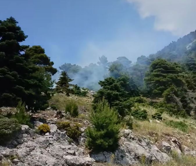 Φωτιά στα Βίλια Αττικής – Καίει δασική έκταση – BINTEO