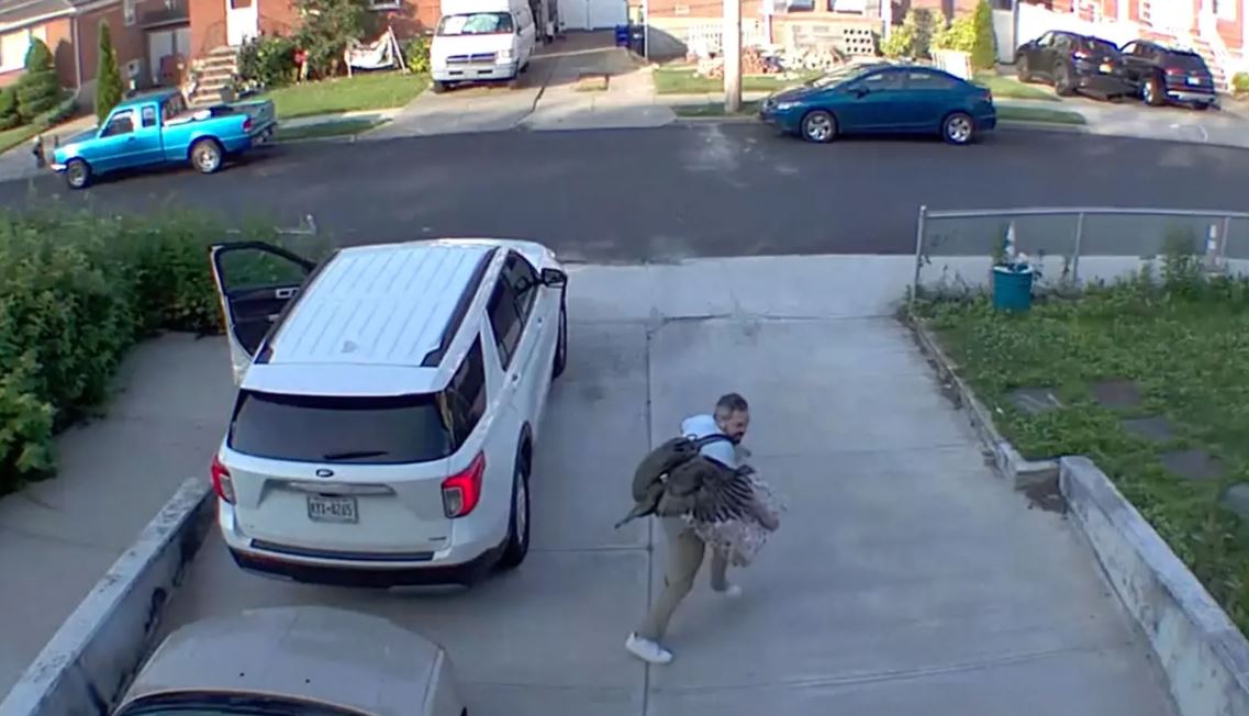 Βίντεο: Εξαγριωμένη γαλοπούλα τον έβαλε… στόχο