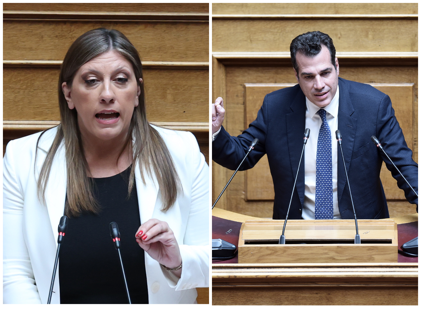 Κωνσταντοπούλου - Πλεύρης