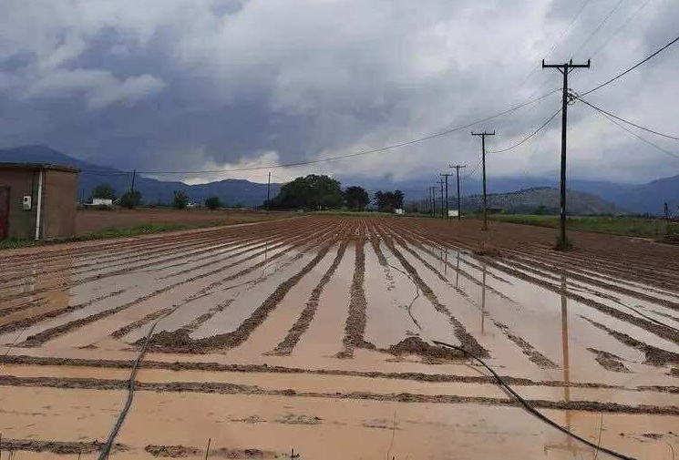 Κρήτη, Λασίθι, βροχές, καλλιέργειες