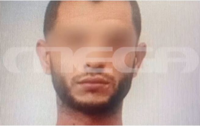 Κυψέλη- ξυλοδαρμός