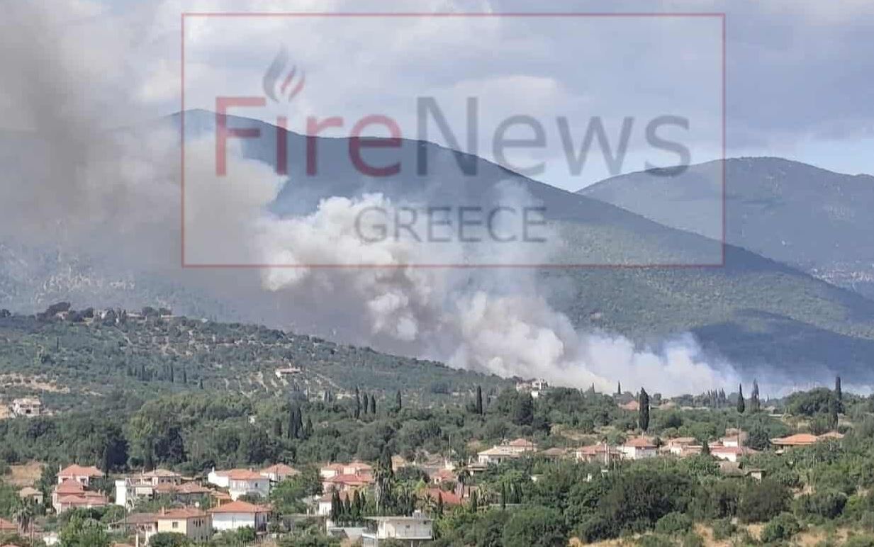 Φωτιά στη Μεσσηνία – Σηκώθηκαν και 2 εναέρια μέσα 