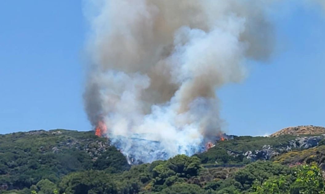 Φωτιά στη Νάξο: Ενισχύονται οι δυνάμεις της Πυροσβεστικής, μεταβαίνουν από Σύρο, Σαντορίνη, Πάρο και Πειραιά – ΦΩΤΟ και ΒΙΝΤΕΟ