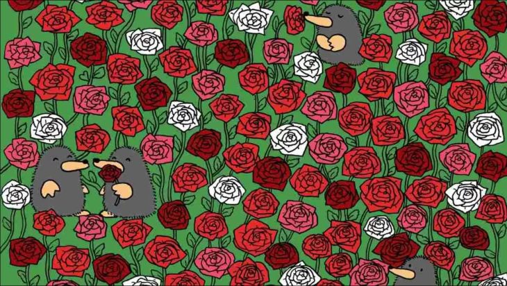 Οπτική ψευδαίσθηση: Μόνο το 1% των ανθρώπων θα βρει τις 3 καρδιές σε 5 δευτερόλεπτα