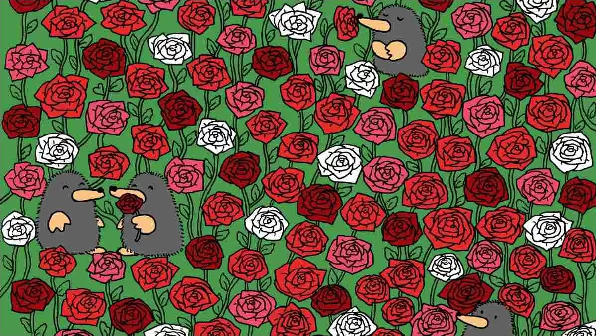 Οπτική ψευδαίσθηση: Μόνο το 1% των ανθρώπων θα βρει τις 3 καρδιές σε 5 δευτερόλεπτα