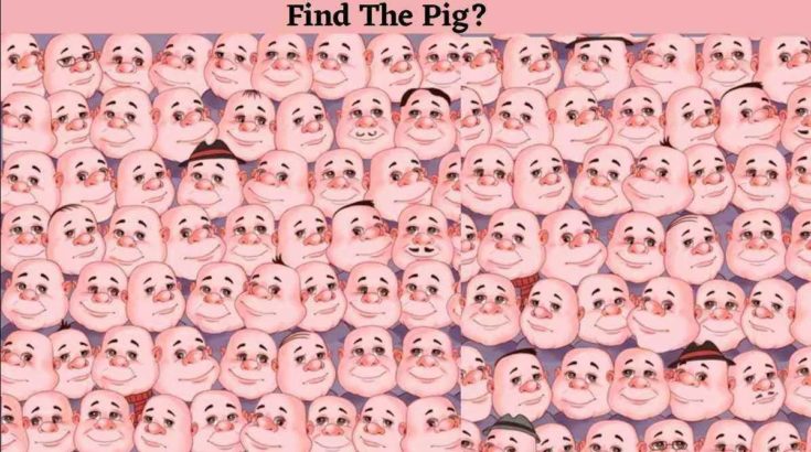 Μόνο αν είσαι ο Σέρλοκ Χολμς θα βρεις το γουρούνι σε 5 δευτερόλεπτα