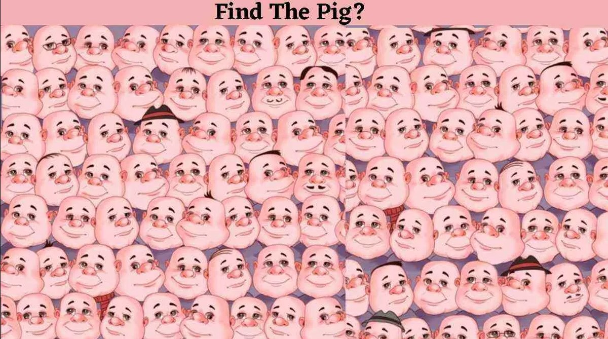 Μόνο αν είσαι ο Σέρλοκ Χολμς θα βρεις το γουρούνι σε 5 δευτερόλεπτα