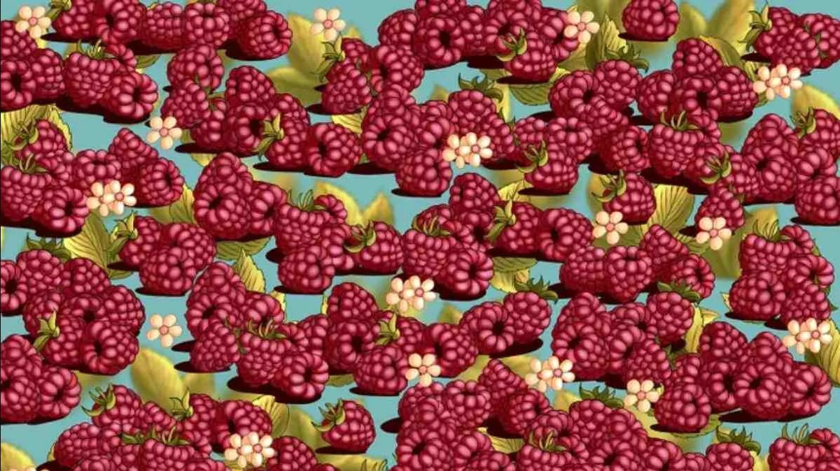 Οπτική ψευδαίσθηση: Μόνο το 3% των ανθρώπων θα βρει την φράουλα σε 8 δευτερόλεπτα