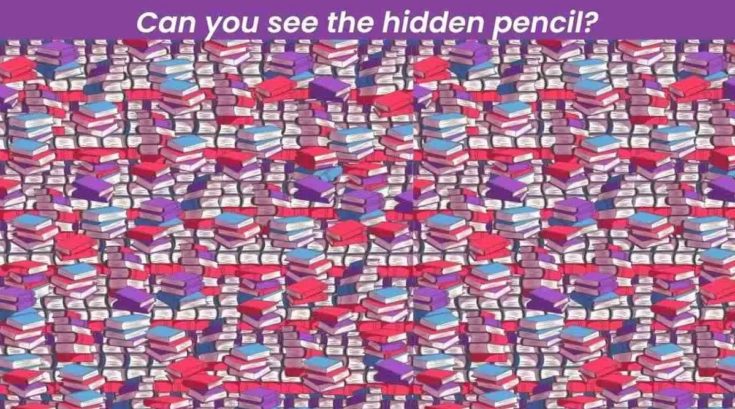 Μόνο αν έχετε αετίσια ματιά θα βρείτε το μολύβι σε 5 δευτερόλεπτα