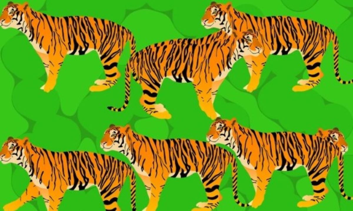 Οπτική ψευδαίσθηση: Μόνο το 1% των ανθρώπων θα βρει πόσες είναι οι τίγρεις σε 8 δευτερόλεπτα