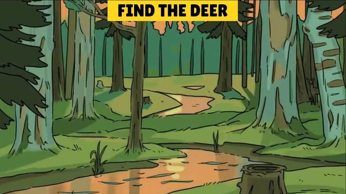 Οπτική ψευδαίσθηση: Μόνο το 3% των ανθρώπων θα βρει το ελάφι σε 10 δευτερόλεπτα
