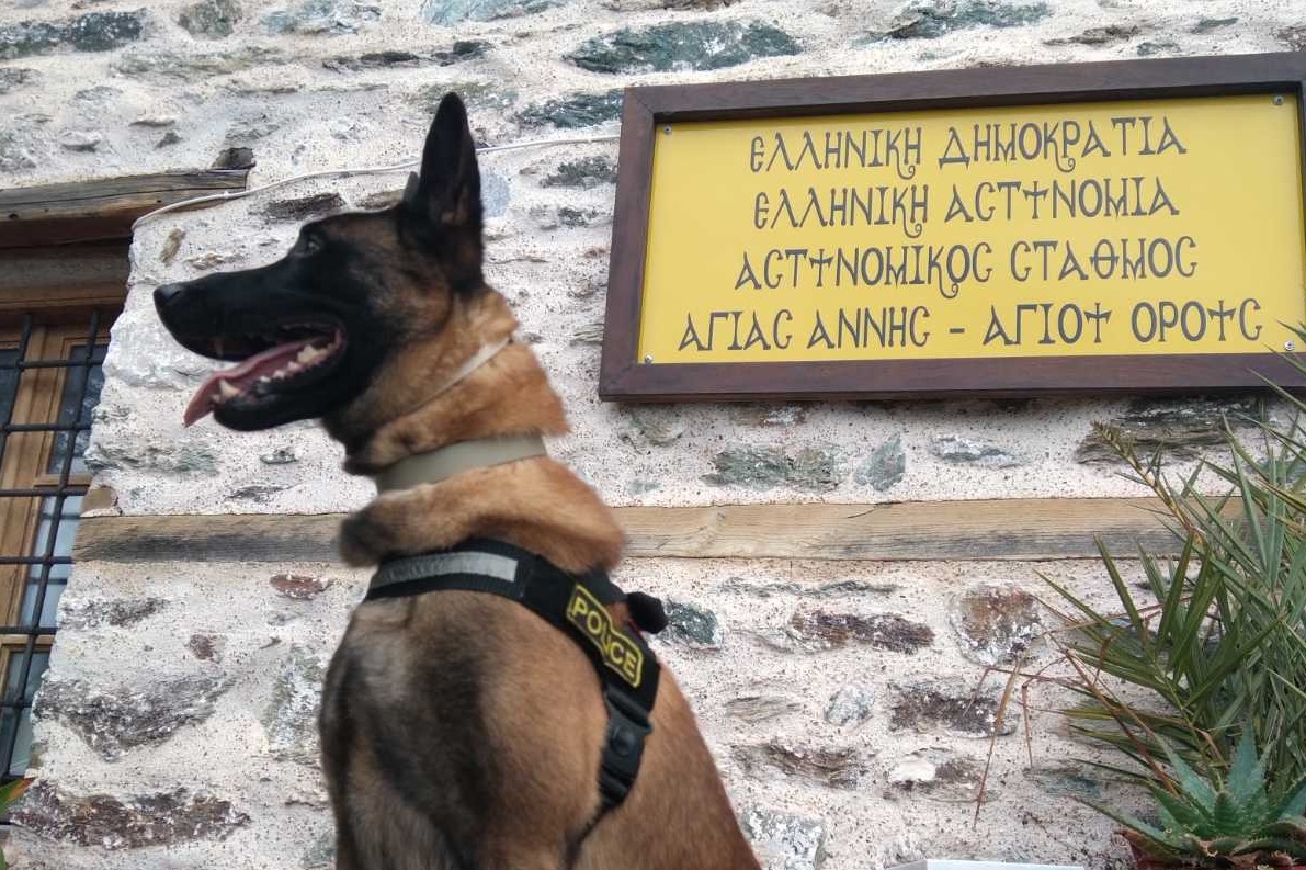 Βγαίνει στη σύνταξη ο Όσκαρ, ο πιο διάσημος σκύλος περιπολίας της ΕΛ.ΑΣ. – Οι καλύτερες στιγμές και η τελευταία αποστολή του