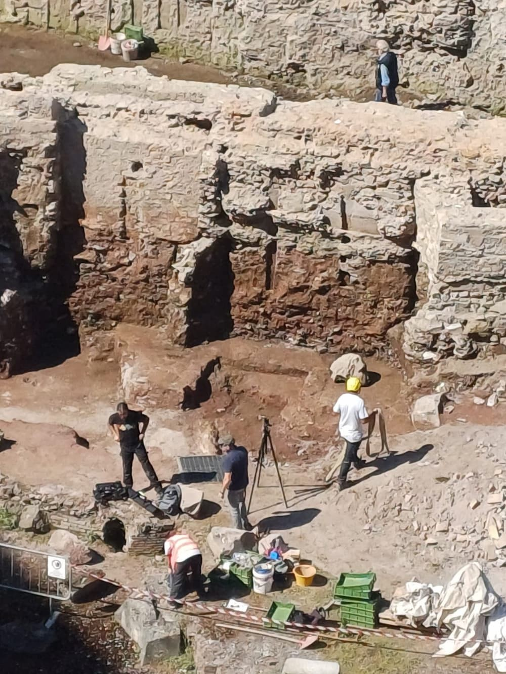 Η κεφαλή στο σημείο της ανακάλυψής της. Φωτογραφία: Roberto Gualteri