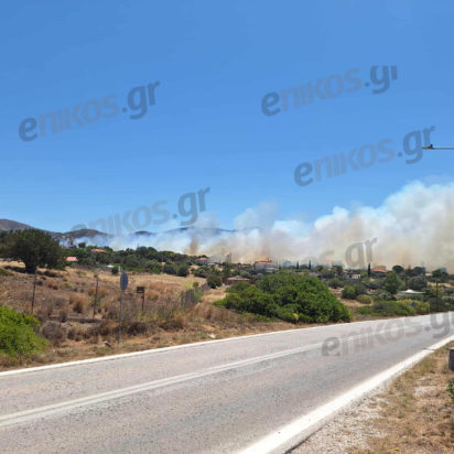 φωτιά Παλαιά Φώκαια