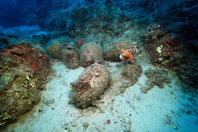 Ένας δύτης εξερευνά τα απομεινάρια ενός ναυαγίου στα ανοιχτά του Νησιού Μπεσμί. Φωτογραφία: AA
