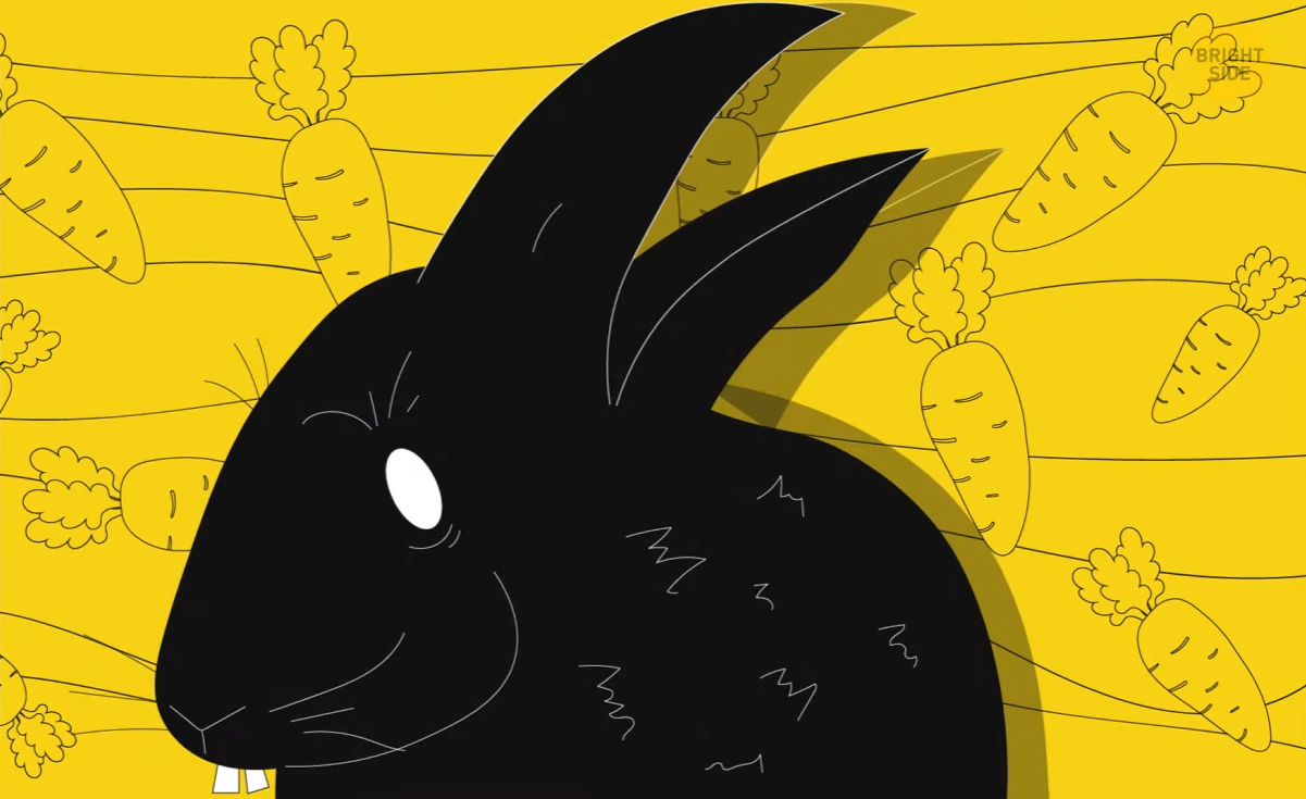 Τεστ προσωπικότητας: Αυτό που βλέπετε πρώτα στην εικόνα αποκαλύπτει αν είστε πεισματάρης ή ντροπαλός