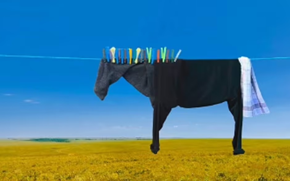 Τεστ προσωπικότητας: Αυτό που βλέπετε πρώτα στην εικόνα αποκαλύπτει αν είστε ανέμελοι ή πολύ προσεκτικοί