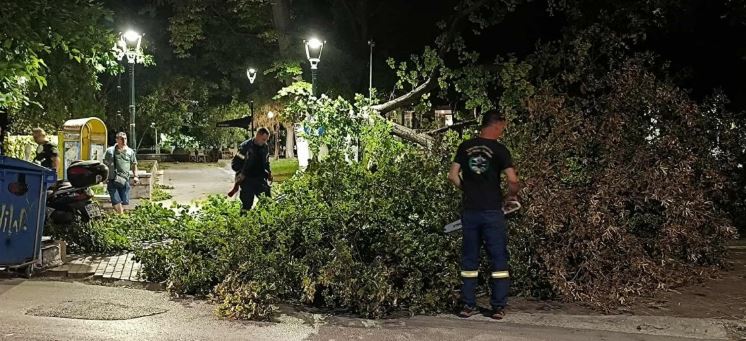 Βόλος: Ισχυροί άνεμοι που έφτασαν τα 8 μποφόρ ξερίζωσαν δέντρα στο κέντρο της πόλης – Δείτε φωτογραφίες 