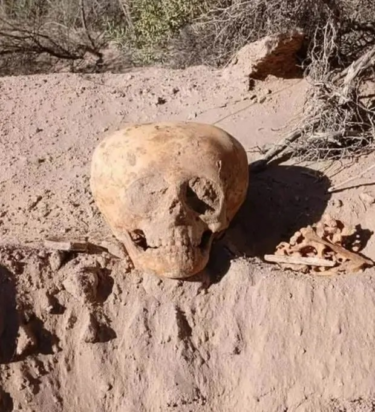 Το κρανίο εξετάζεται από εμπειρογνώμονες. Φωτογραφία: El Ancasti