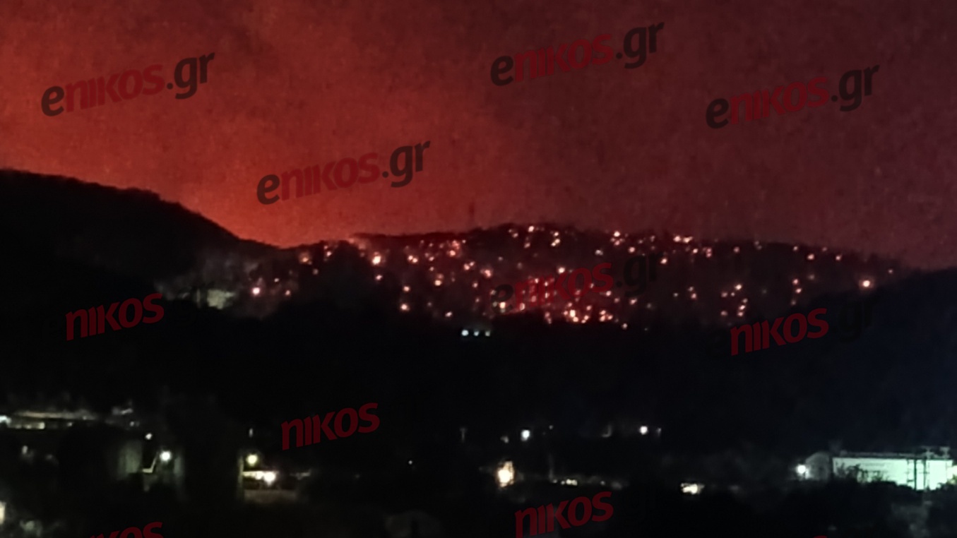 Εύβοια: Νέες εικόνες από το πύρινο μέτωπο στον οικισμό ΠΕΙ Δοκού – ΦΩΤΟ αναγνώστη