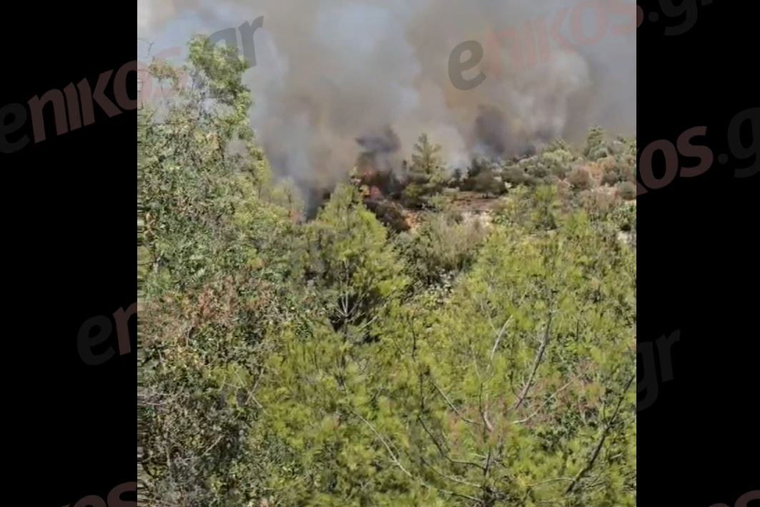 Βίντεο αναγνώστη από τη φωτιά στην Πολυτεχνειούπολη: Επιχειρούν εναέρια μέσα