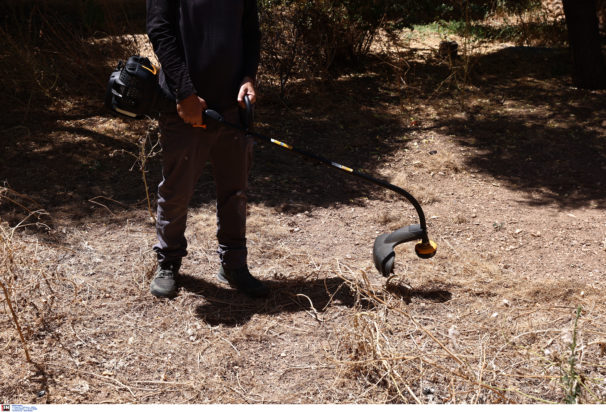 Ακαθάριστα οικόπεδα