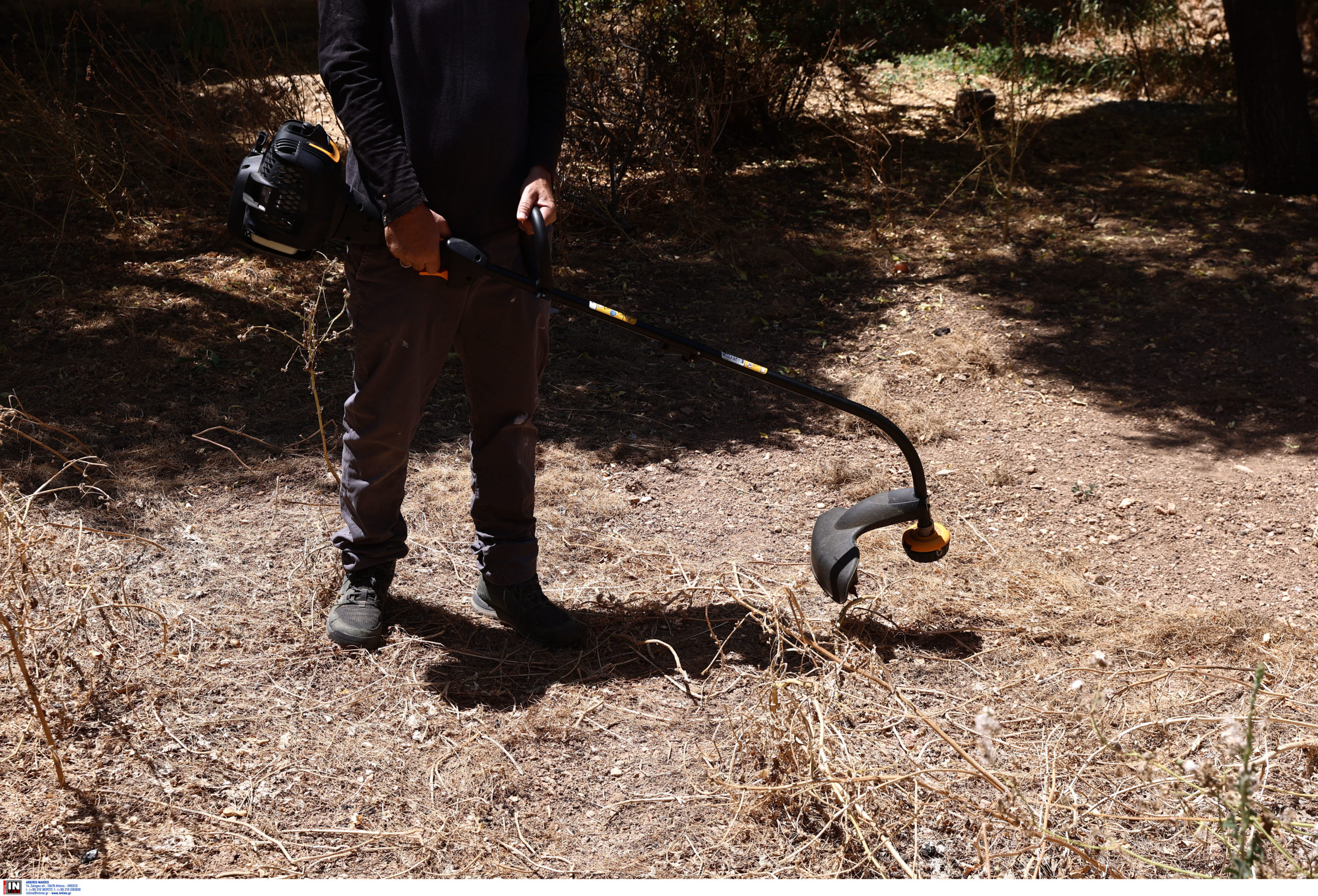 Ακαθάριστα οικόπεδα