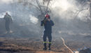 Φωτιά στην Πάρνηθα - Μεγάλη κινητοποίηση της Πυροσβεστικής