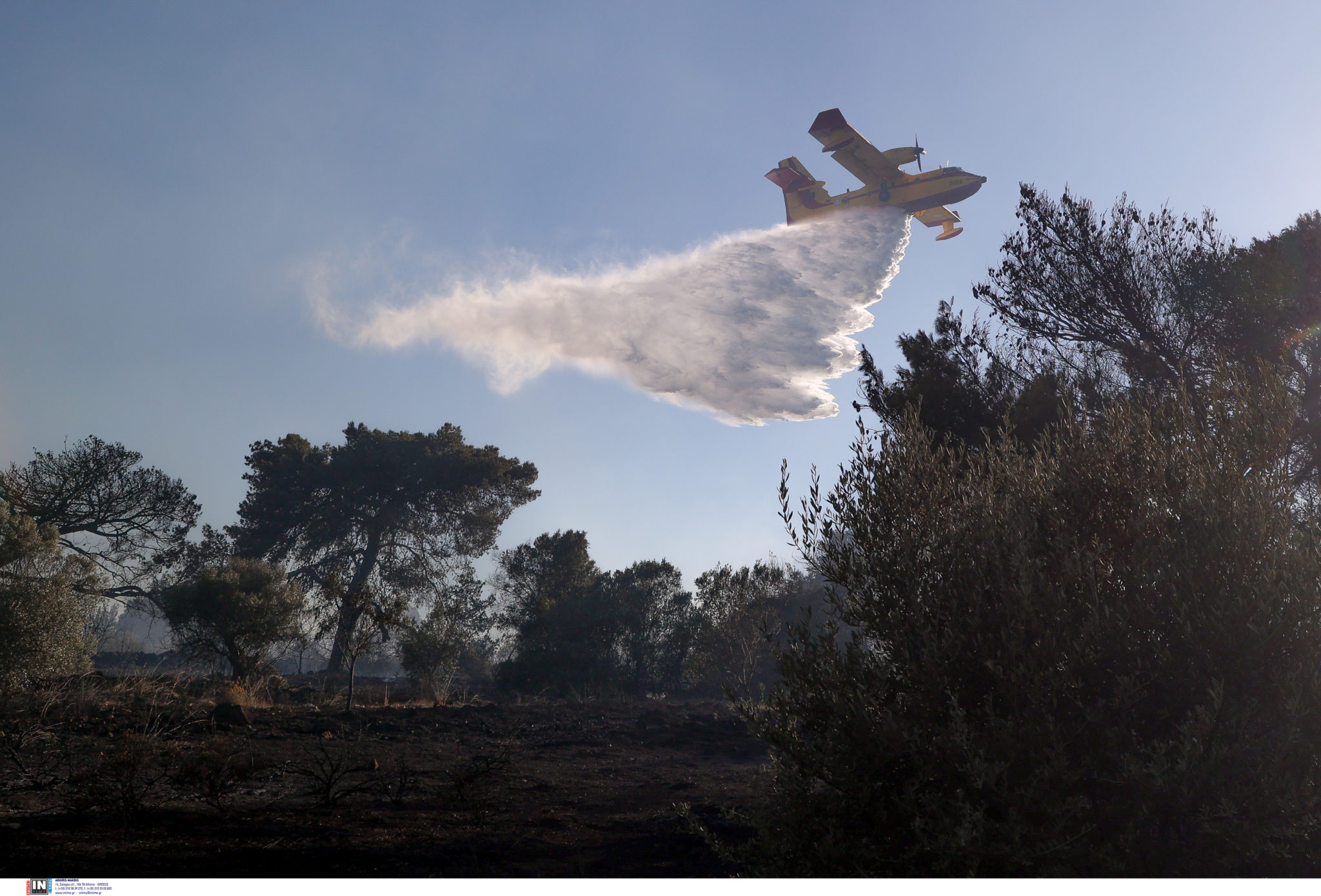 Φωτιά πυροσβεστική