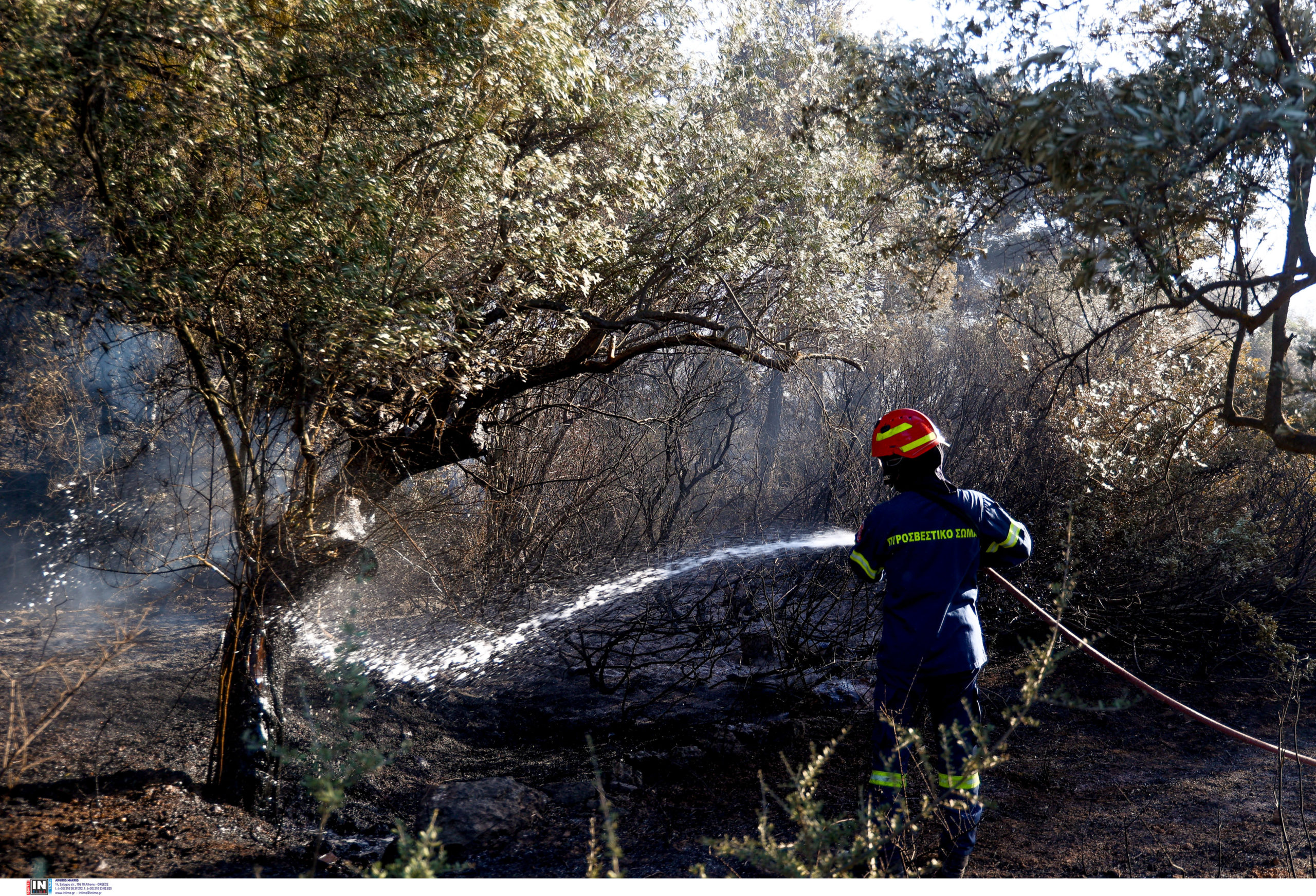 Φωτιά στην Ανατολική Αττική: «Έχουν καεί σπίτια και αυτοκίνητα» – Τι είπε στο enikos.gr ο Δήμαρχος Σπάτων