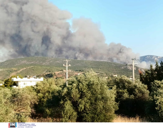 Φωτιά, Ωρωπός