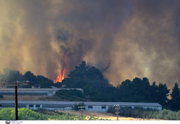 Εύβοια, Φωτιά