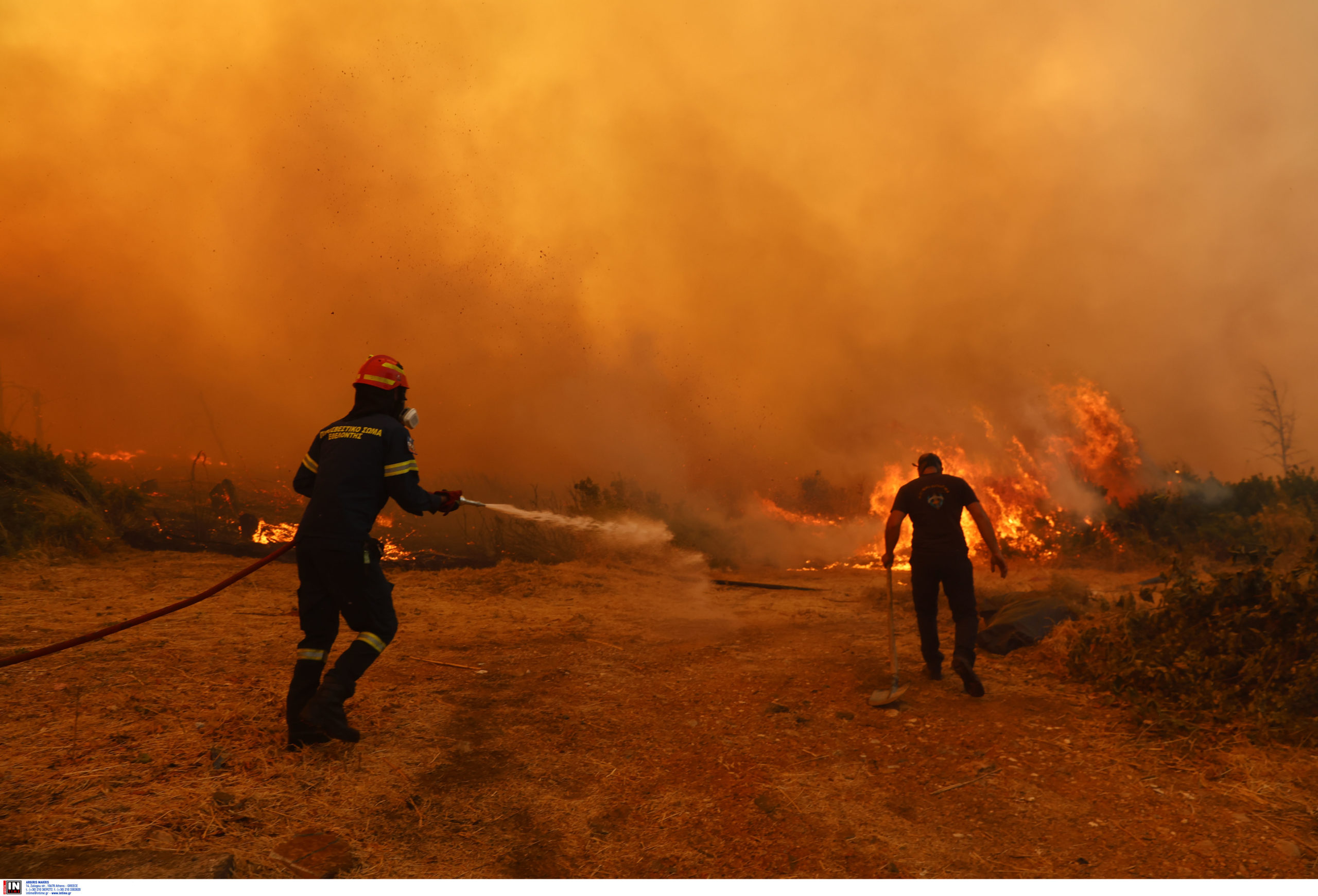 Αττική, Κρυονέρι, φωτιά