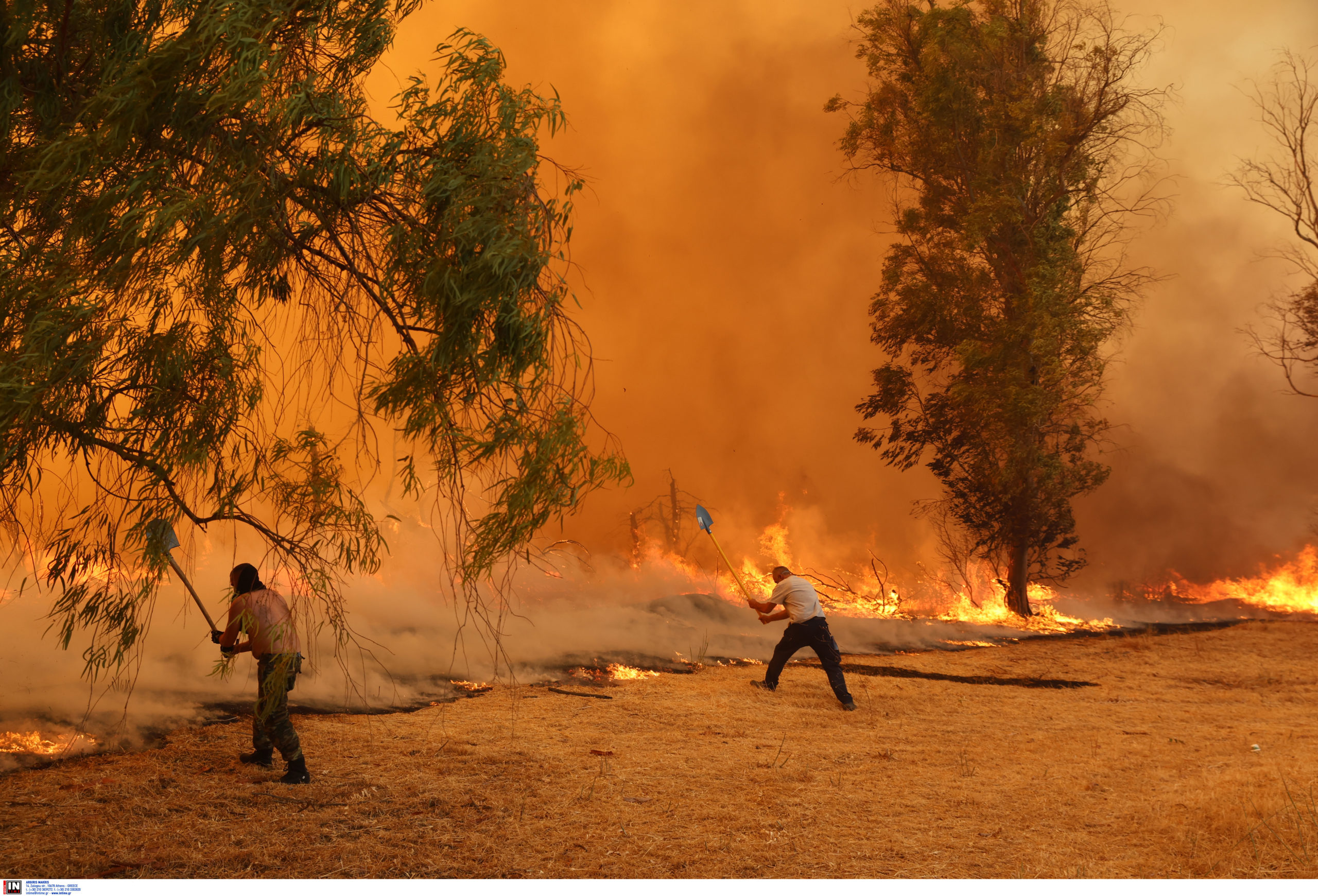 Αττική, Κρυονέρι, φωτιά