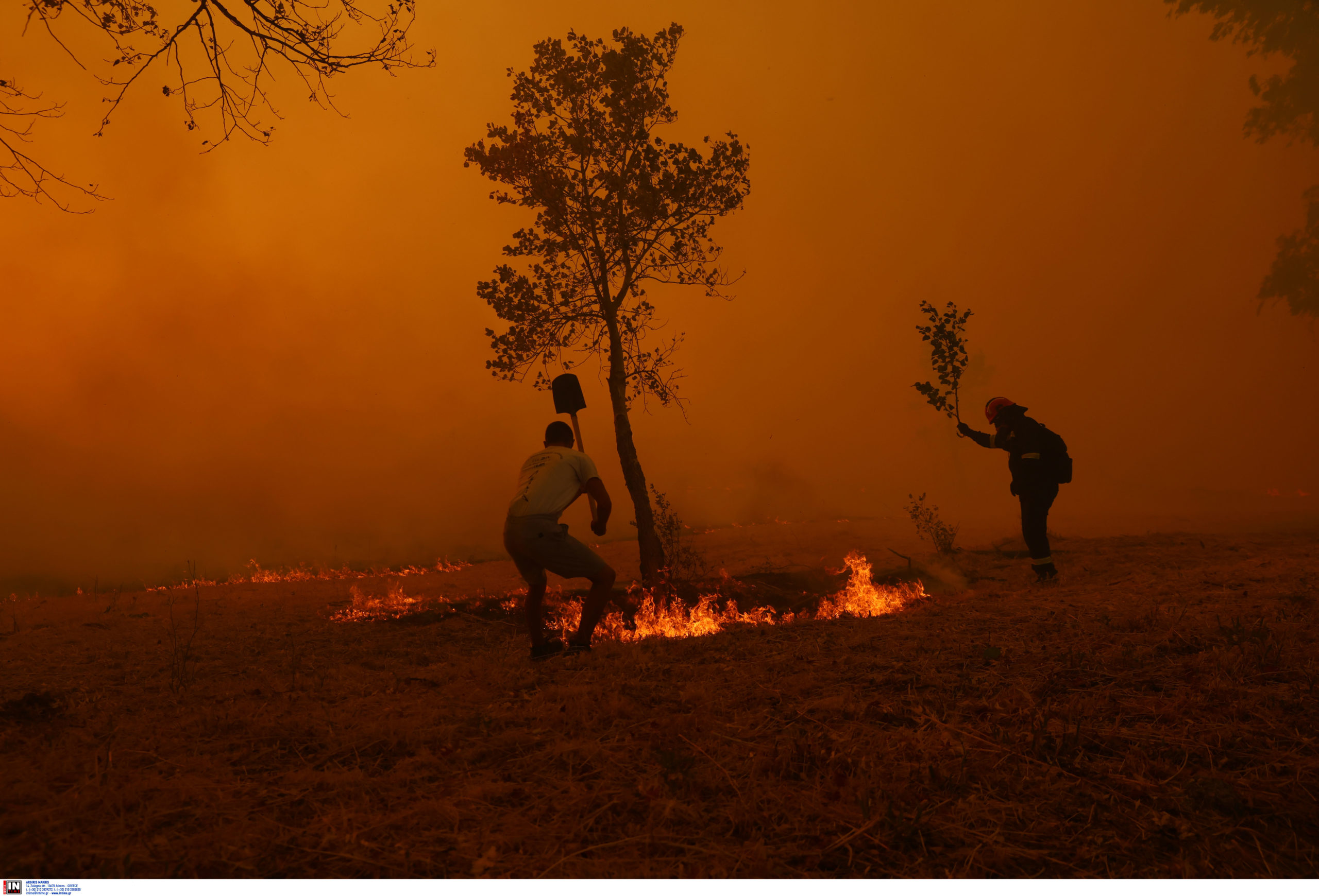 Αττική, Κρυονέρι, φωτιά