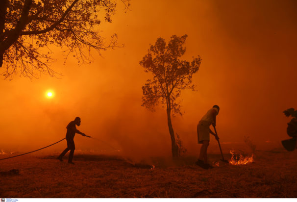 Αττική, Κρυονέρι, φωτιά