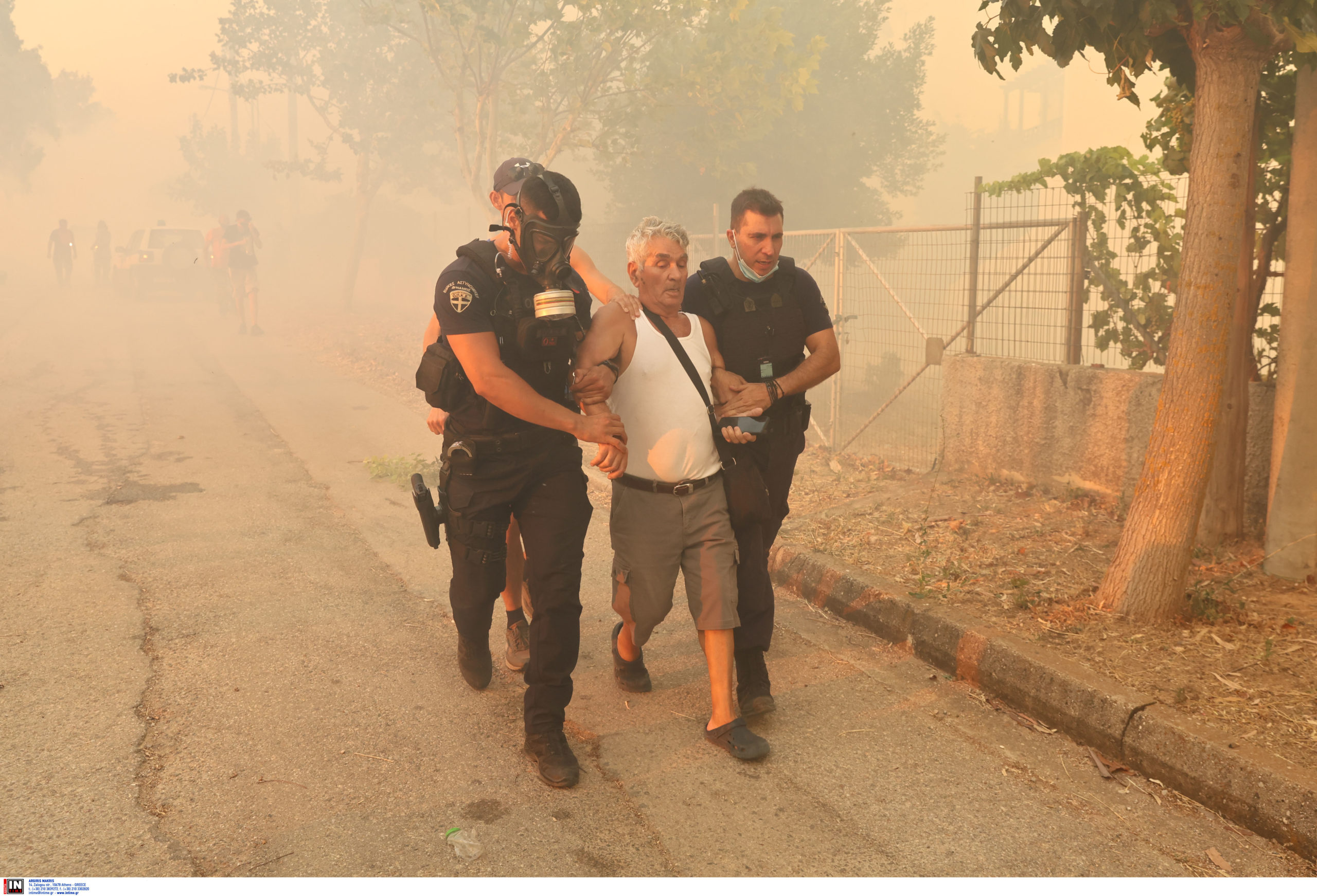 Αττική, Κρυονέρι, φωτιά