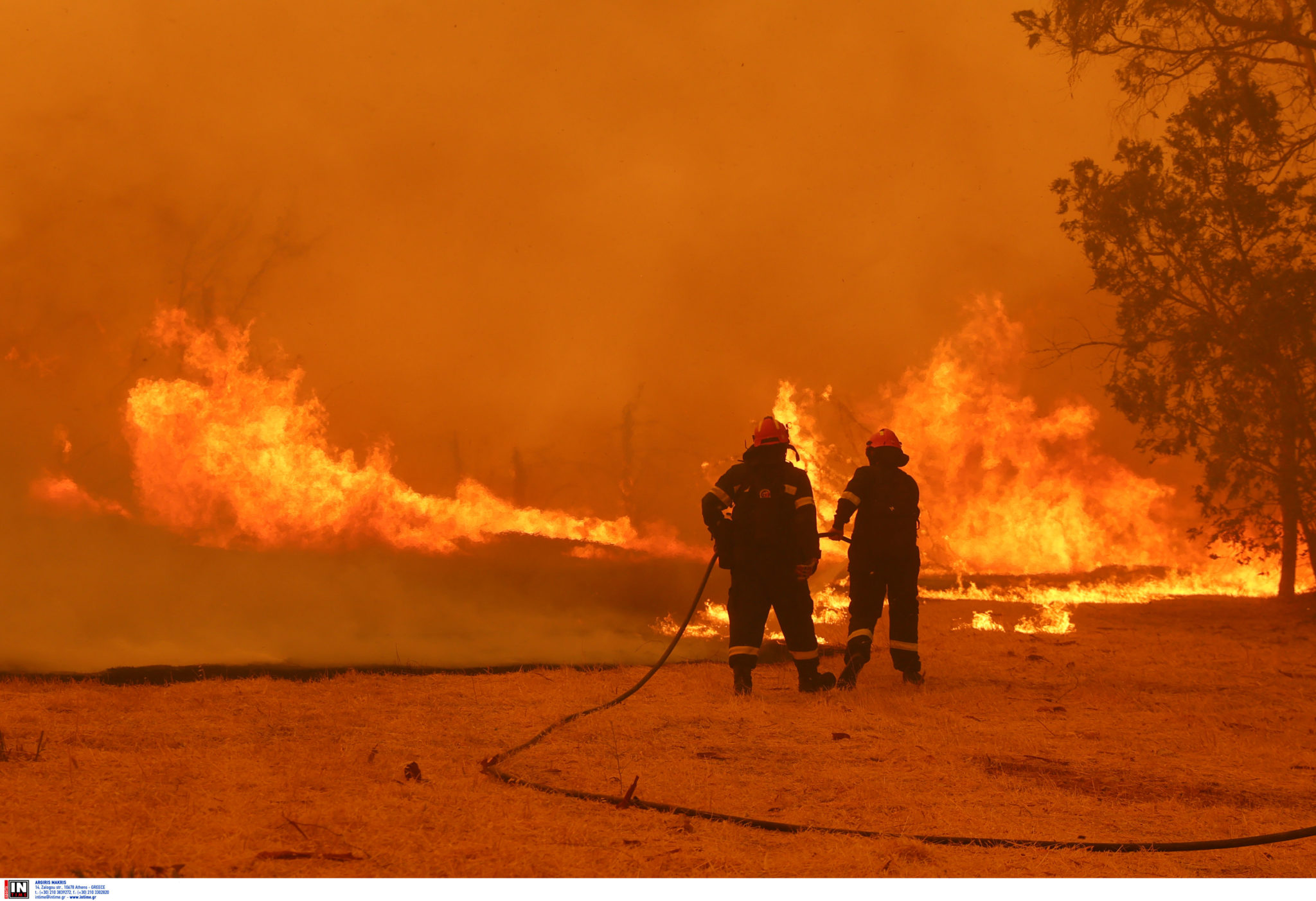 Αττική, Κρυονέρι, φωτιά