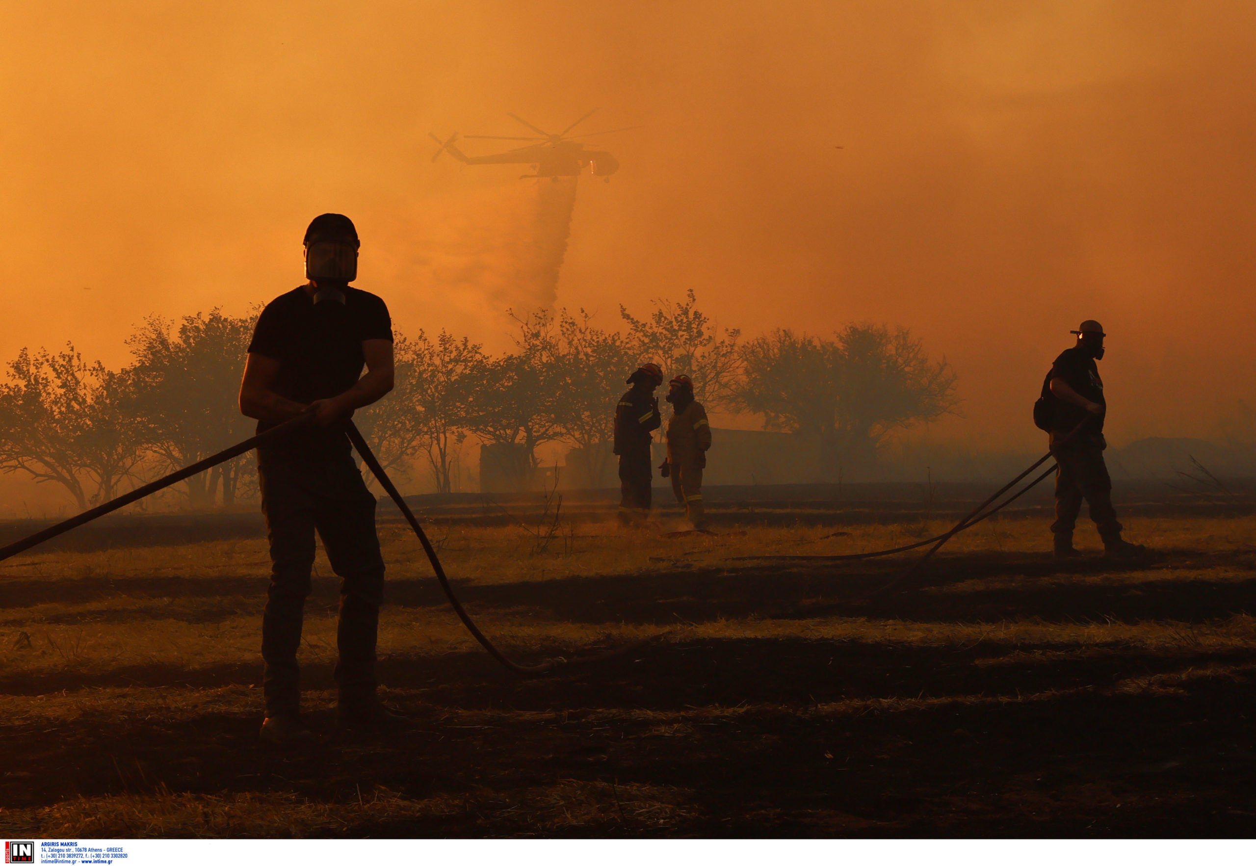 Αττική, Κρυονέρι, φωτιά