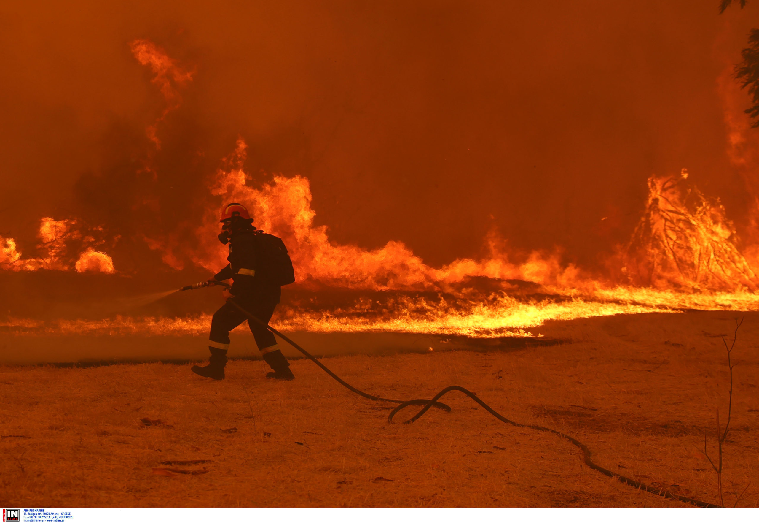 Αττική, Κρυονέρι, φωτιά